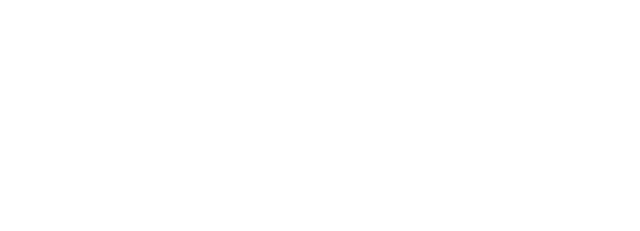 logo-netways-2000 wit